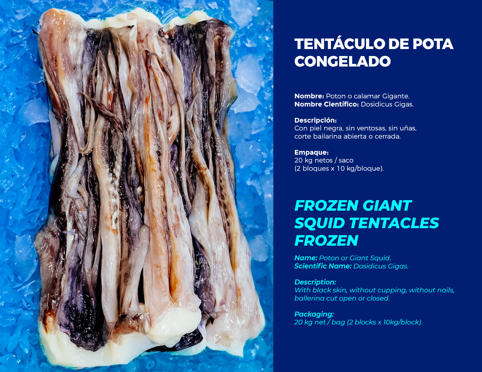 brochure 1